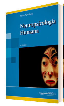 Imagen del Libro: Neuropsicología Humana Neuropsicología Humana