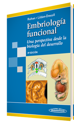 Imagen del Libro: Embriología funcional Embriología funcional