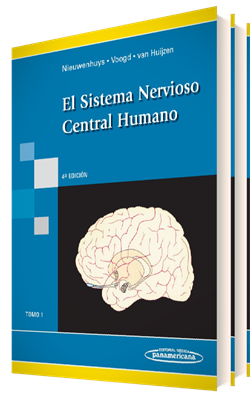 Imagen del Libro: El Sistema Nervioso Central Humano El Sistema Nervioso Central Humano