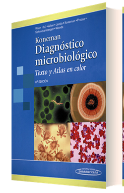 Diagnostico microbiologico koneman pdf descargar de