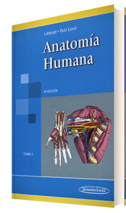 Imagen del Libro: Anatomía Humana Anatomía Humana