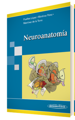 Imagen del Libro: Neuroanatomía Neuroanatomía