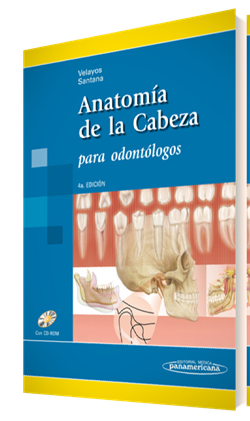 Imagen del Libro: Anatomía de la Cabeza Anatomía de la Cabeza