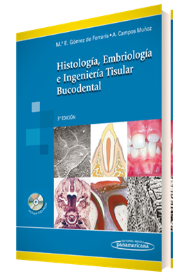 Imagen del Libro: Histología, Embriología e Ingeniería Tisular Bucodental Histología, Embriología e Ingeniería Tisular Bucodental