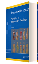 Tortora, Derrickson: Principios de Anatomía y Fisiología, 11ª edición