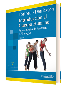 Introducción Cuerpo Humano de Gerard | Editorial Médica Panamericana