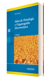 Histología - Boya