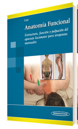 Imagen del Libro: Anatomía Funcional Anatomía Funcional