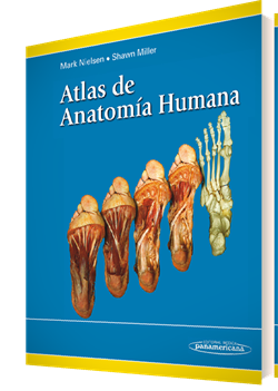 Imagen del Libro: Atlas de Anatomía Humana Atlas de Anatomía Humana