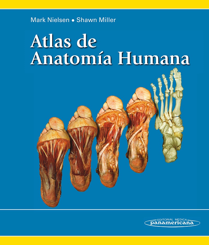 Atlas De Anatomia Humana - LEARNBRAZ