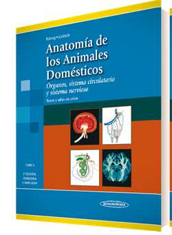Imagen del Libro: Anatomía de los Animales Domésticos Anatomía de los Animales Domésticos