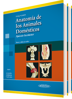 Imagen del Libro: Colección König. Anatomía de los Animales Domésticos Colección König. Anatomía de los Animales Domésticos
