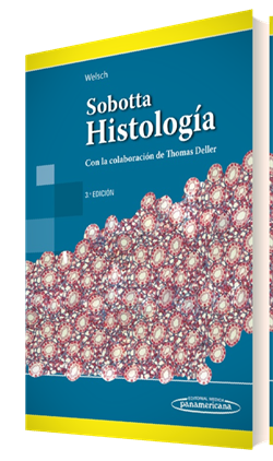 Descargar Histologia Sobotta Pdf