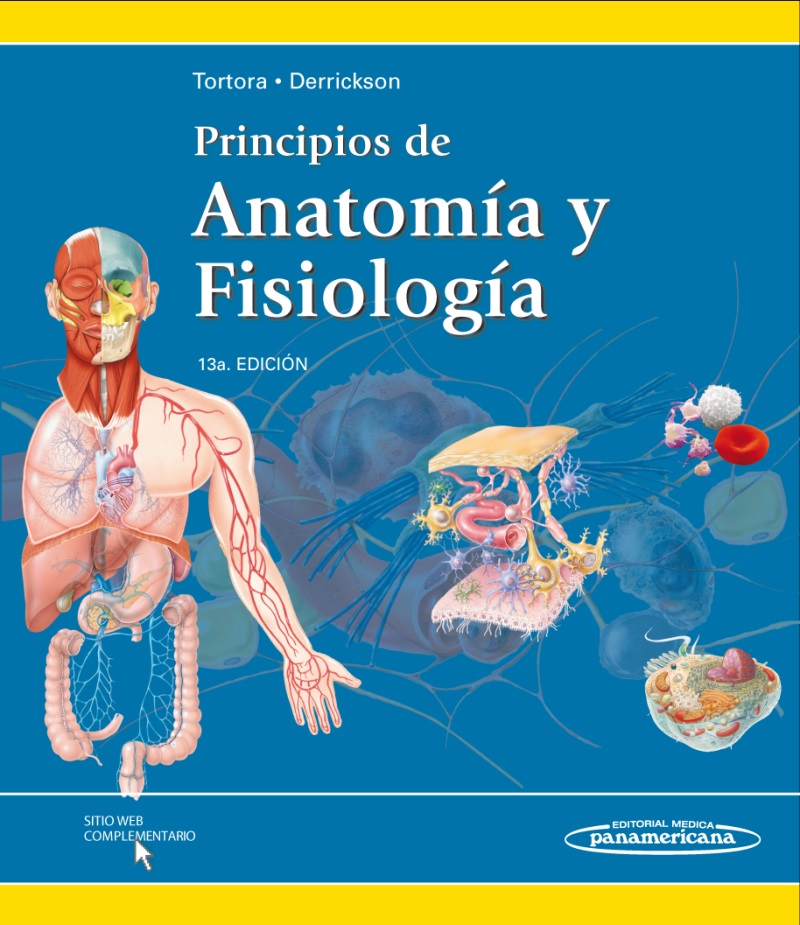 Anatomia Y Fisiologia Del Cuerpo Humano Tortora Pdf 3050