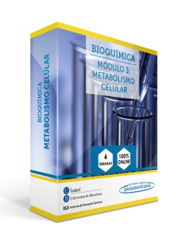 Imagen de la Obra: Módulo 3 del Curso de Bioquímica: Metabolismo Celular Módulo 3 del Curso de Bioquímica: Metabolismo Celular