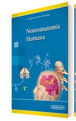 Neuroanatomía Humana