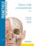 Formación - Prometheus. Texto y Atlas de Anatomía