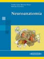 Neuroanatomía Neuroanatomía