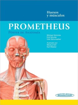 Imagen del Libro: Prometheus. Póster de Anatomía Prometheus. Póster de Anatomía
