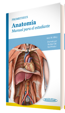 Imagen del Libro: Prometheus. Anatomía Prometheus. Anatomía