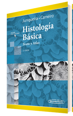 Imagen del Libro: Histología Básica Histología Básica