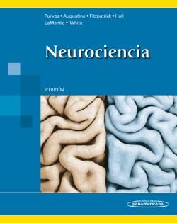 Imagen del Libro: Neurociencia Neurociencia