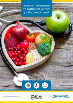 Imagen de la Obra: Experto Universitario en Nutrición Clínica y Salud Nutricional Experto Universitario en Nutrición Clínica y Salud Nutricional