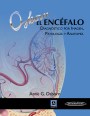 El Encéfalo El Encéfalo