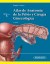 Libro de Atlas de Anatomía de la Pelvis y Cirugía Ginecológica