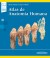 Libro de Atlas de Anatomía Humana