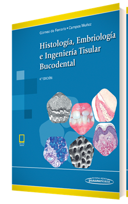 Histologia Embriologia E Ingenieria Tisular Bucodental Incluye