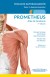 Formación - PROMETHEUS. Atlas de Anatomía.Fichas de autoevaluación