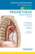 Formación - PROMETHEUS. Atlas de Anatomía. Fichas de autoevaluación