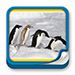 Formación - Fundamentos de Genética