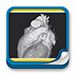 Formación - Diagnóstico por la Imagen del Corazón