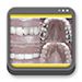 Libro de Odontología Restauradora