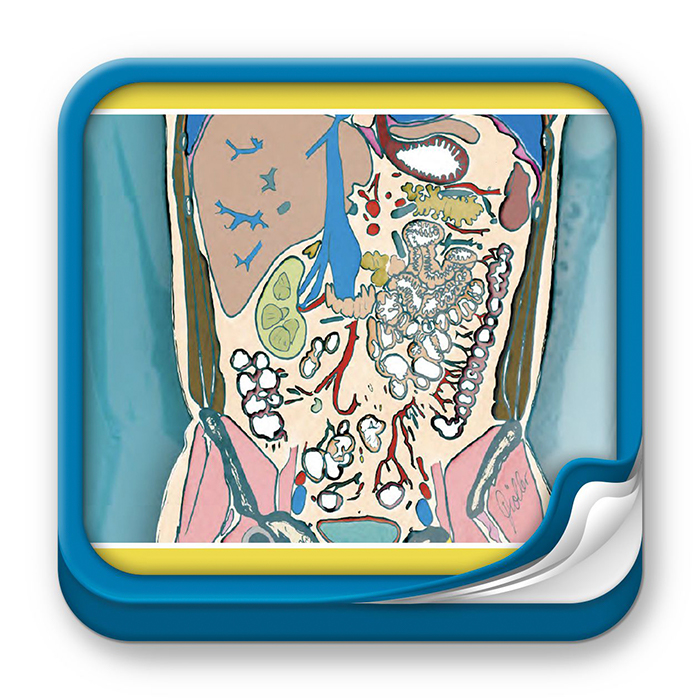 Atlas Cortes Anat micos, 4aEd T2: Tomografía computarizada y resonancia  magnética: tórax, corazón, abdomen y pelvis