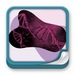 Formación - PROMIR: Genética e Inmunología 2022-2023